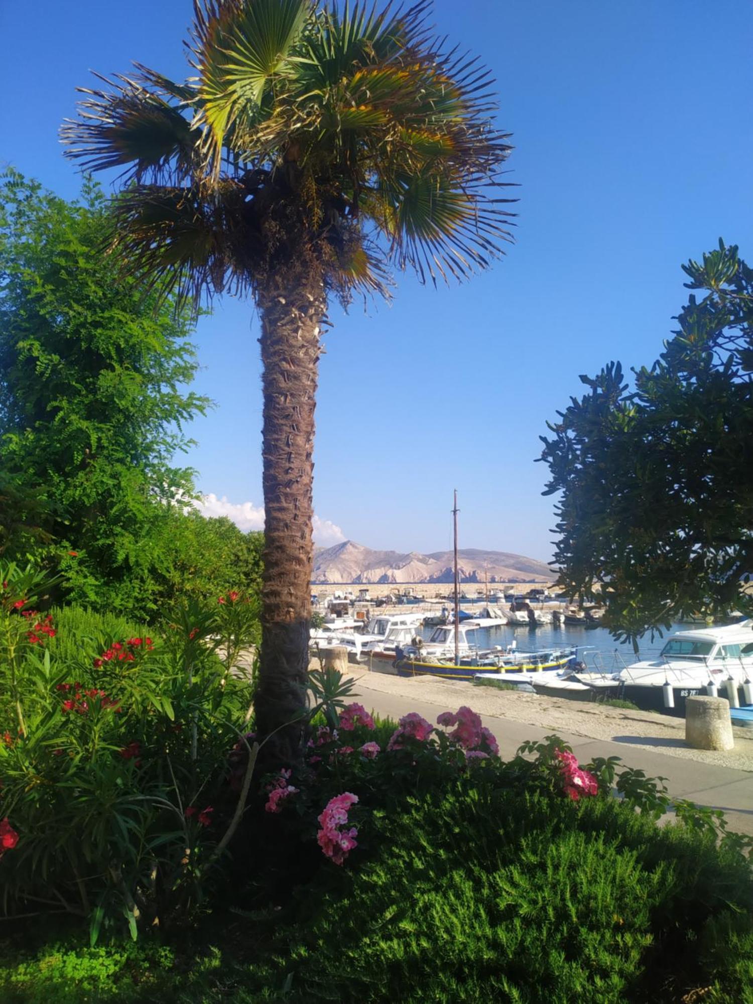 Anchor Baska Apartment Exterior photo